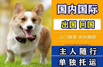 晋中市宠物托运公司晋中市宠物托运公司晋中市宠物托运公司