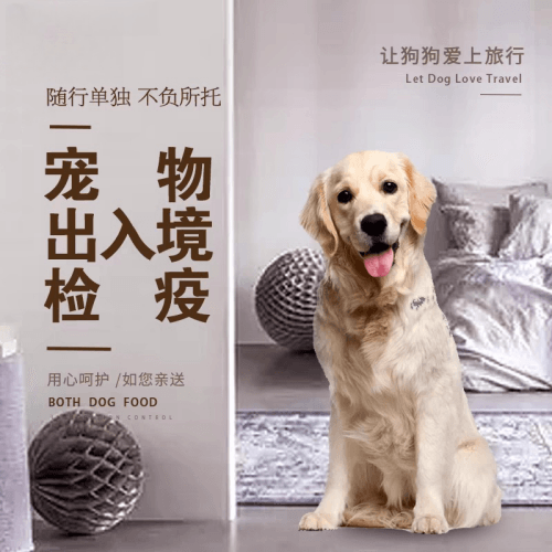 晋中市宠物托运到哥伦比亚猫狗宠物入境规定和