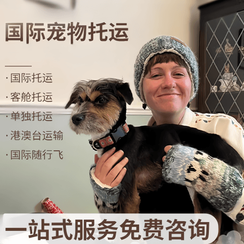 晋中市国际宠物托运到阿根廷宠物入境规定和要