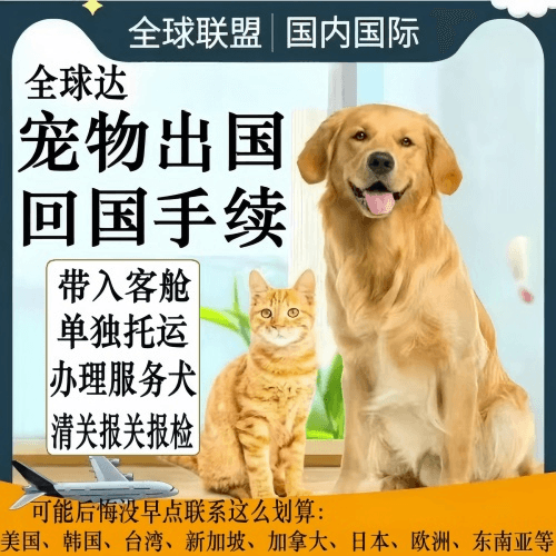 晋中市宠物托运到柬埔寨宠物入境规定和要求