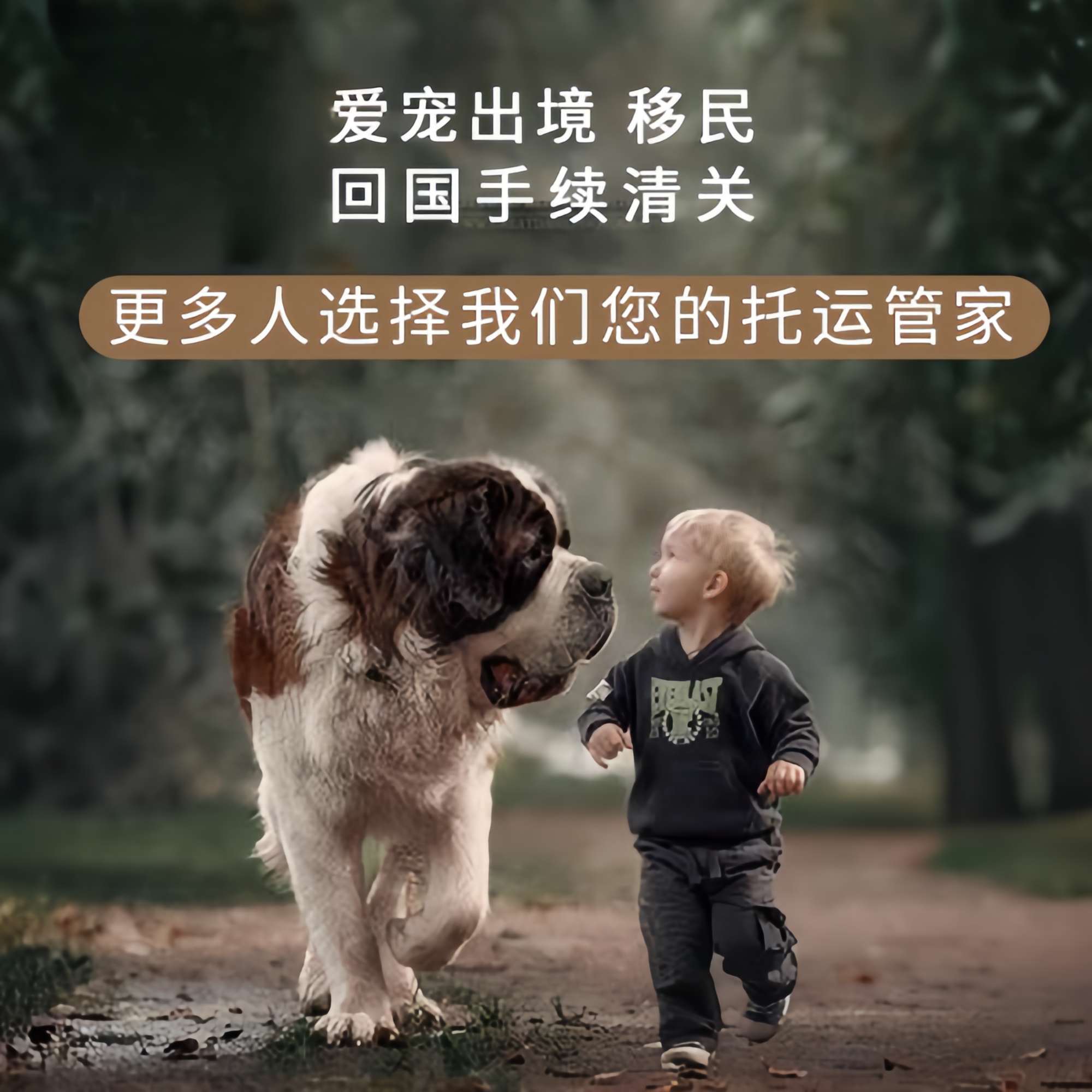 满财晋中市宠物全球达宠物托运在遵守入境目的地政策的条件