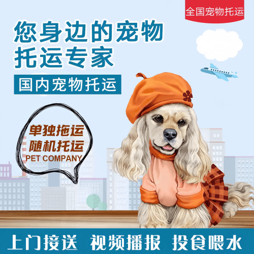 满财晋中市宠物全球达宠物托运作为专业的宠物运输代理机构